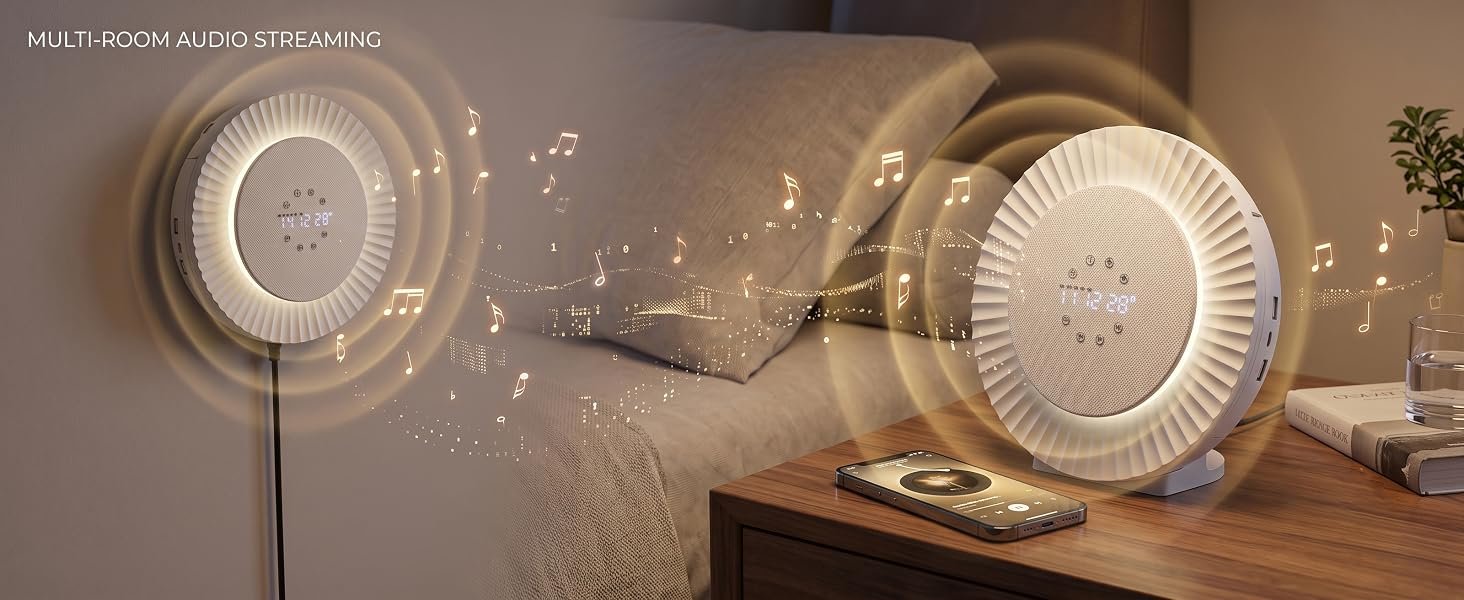 Multi-Room Audio Streaming Bluetooth Speaker and FM Radio