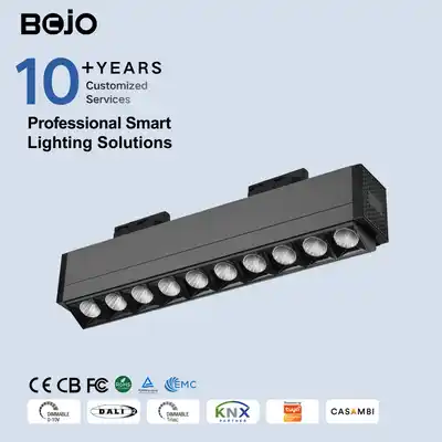 linear track lighting - BOJO Linear Track Lighting Double Asymmetric Dual Side