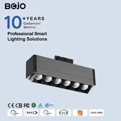 linear track lighting - BOJO Linear Track Lighting Double Asymmetric Dual Side