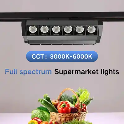 linear track lighting - BOJO Linear Track Lighting Double Asymmetric Dual Side